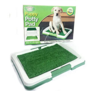 Baño Ecológico Para Mascotas